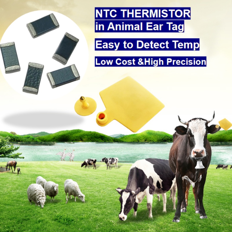 NTC termisztor hőmérséklet -érzékelő állati fülcímke intelligens tenyésztés